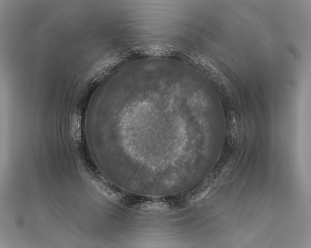 X0000110870696200907021437