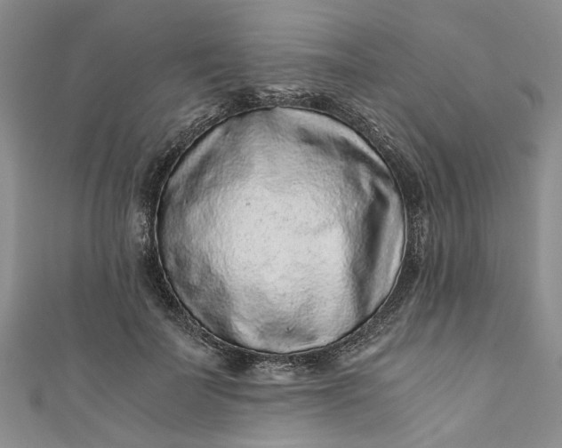 X0000110870699200907021436