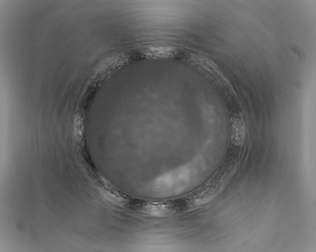 X0000110870701200907021436