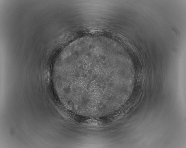 X0000110870703200907021436