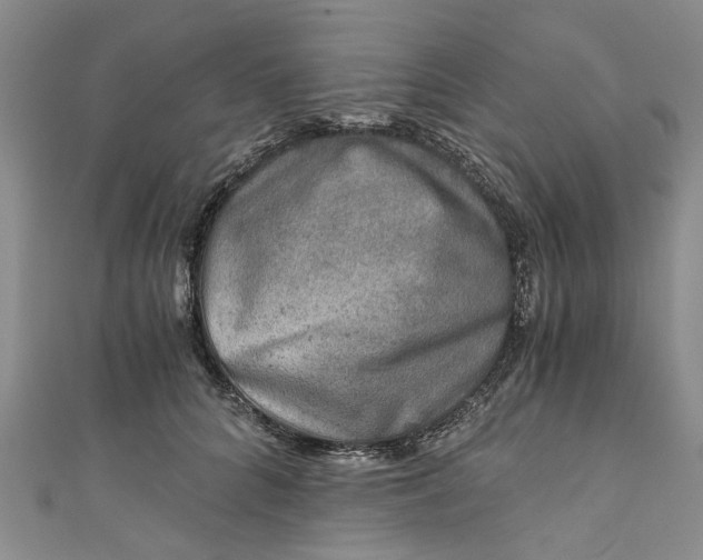 X0000110870704200907021436