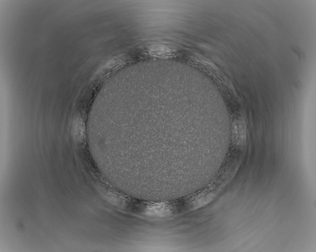 X0000110870705200907021436