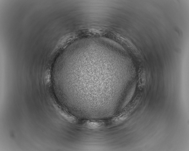 X0000110870706200907021436