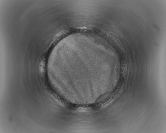 X0000110870708200907021436