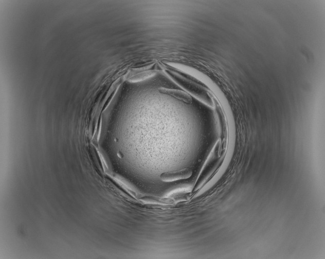 X0000110870709200907021436