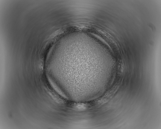 X0000110870710200907021436