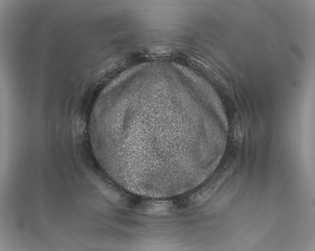 X0000110870711200907021436