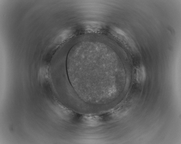 X0000110870712200907021436