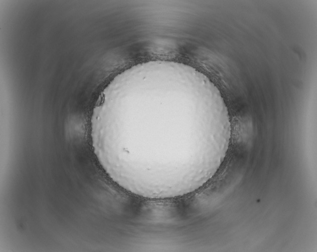 X0000110870713200907021436