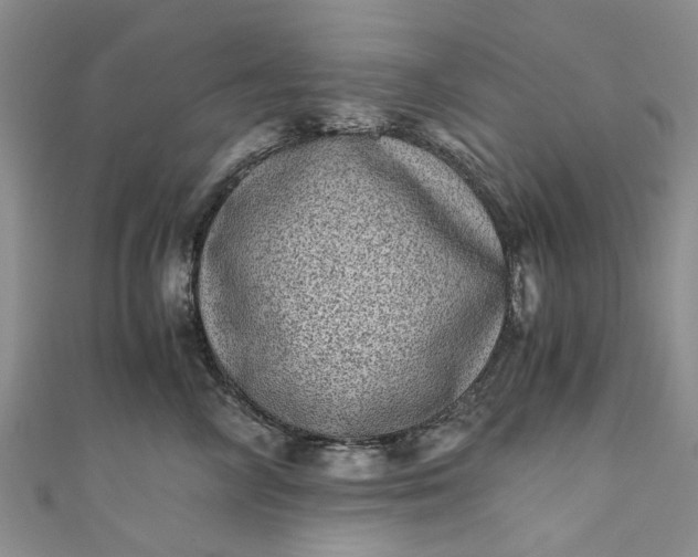 X0000110870714200907021436