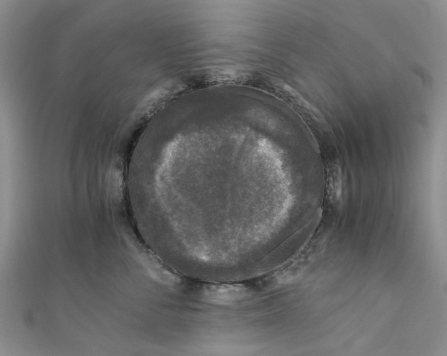 X0000110870716200907021436