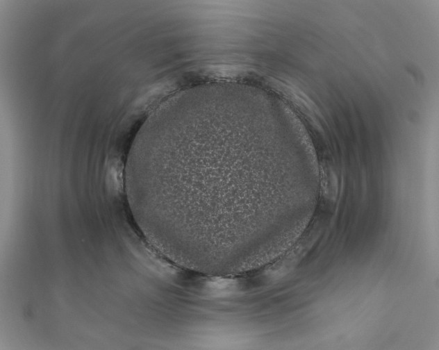 X0000110870718200907021436