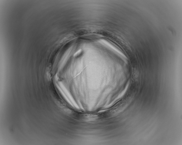 X0000110870719200907021436