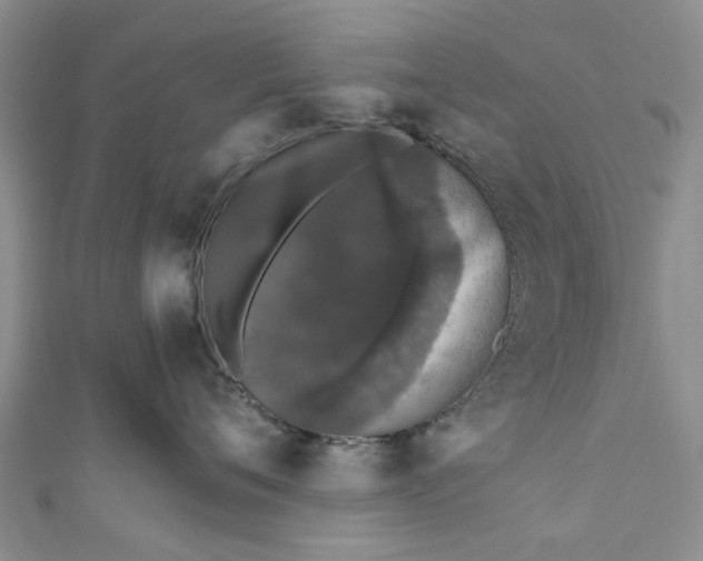 X0000110870720200907021436