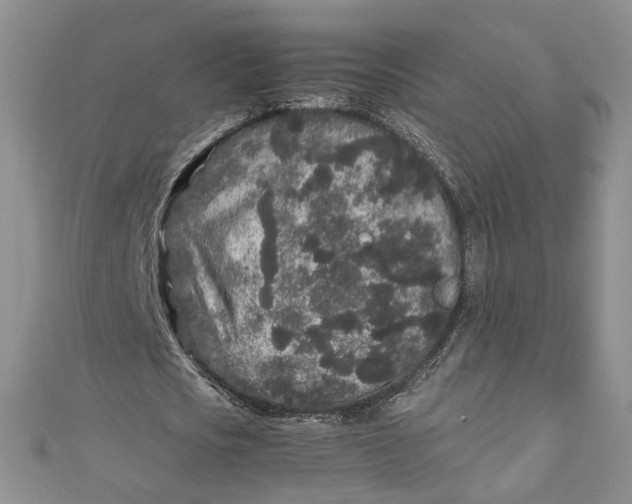 X0000110870721200907021436