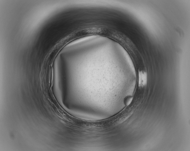 X0000110870723200907021436