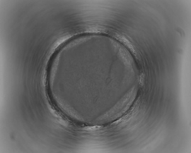 X0000110870724200907021436