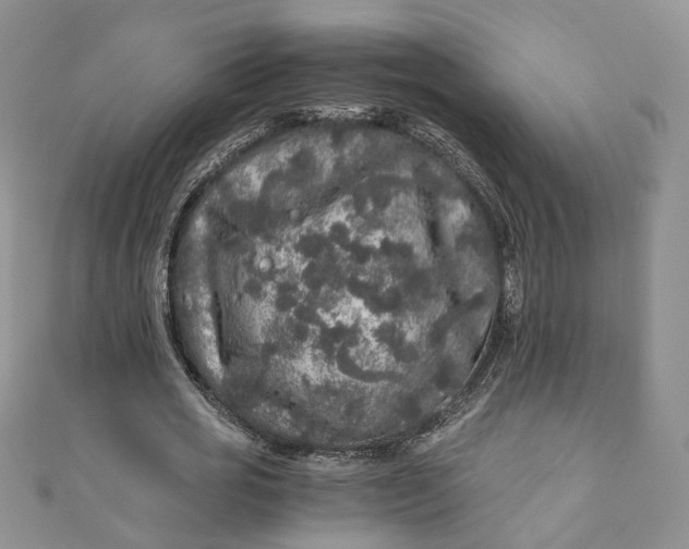 X0000110870725200907021436