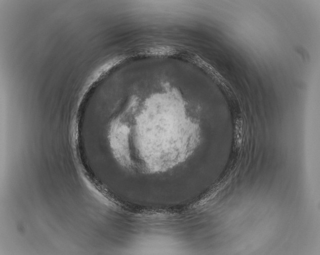 X0000110870726200907021436