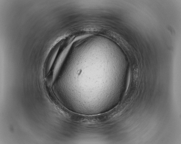 X0000110870727200907021436