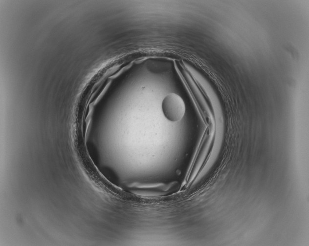 X0000110870728200907021436