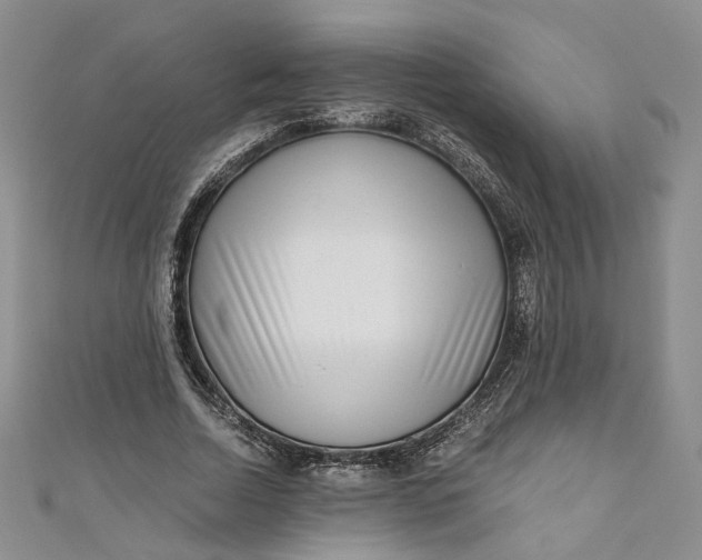 X0000110870730200907021436