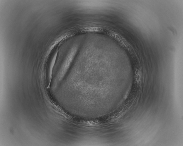 X0000110870731200907021436