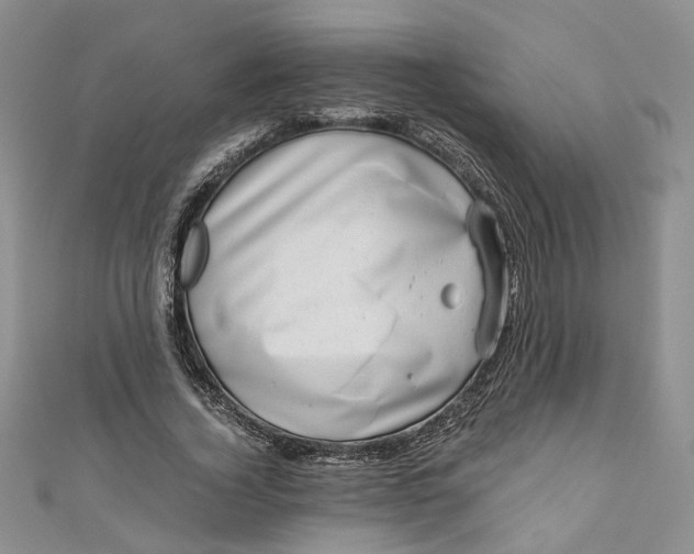 X0000110870732200907021436