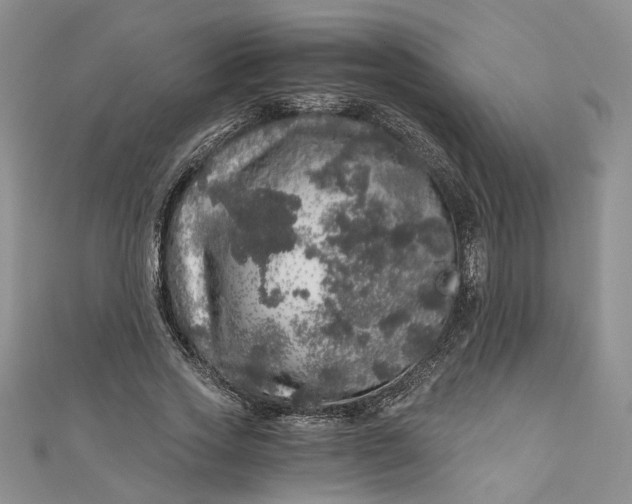 X0000110870733200907021436