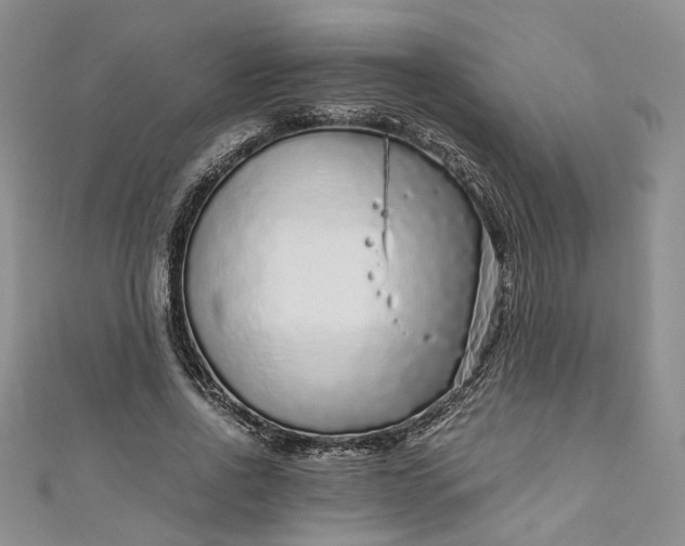 X0000110870734200907021436