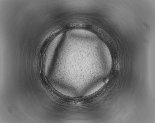 X0000110870735200907021436