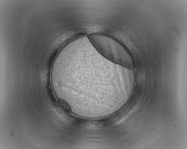 X0000110870736200907021436