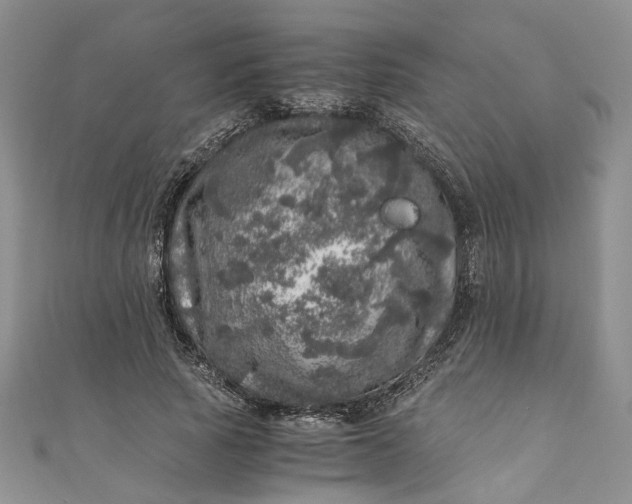 X0000110870737200907021436