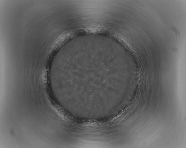 X0000110870738200907021436