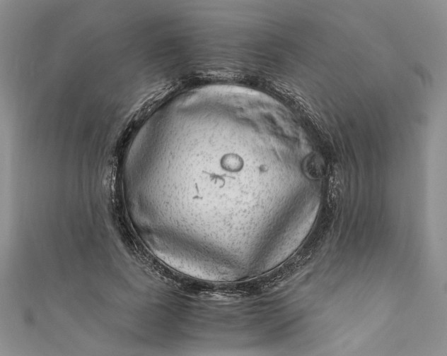 X0000110870739200907021436