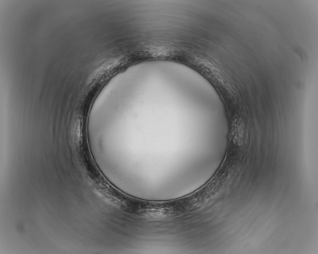 X0000110870740200907021436