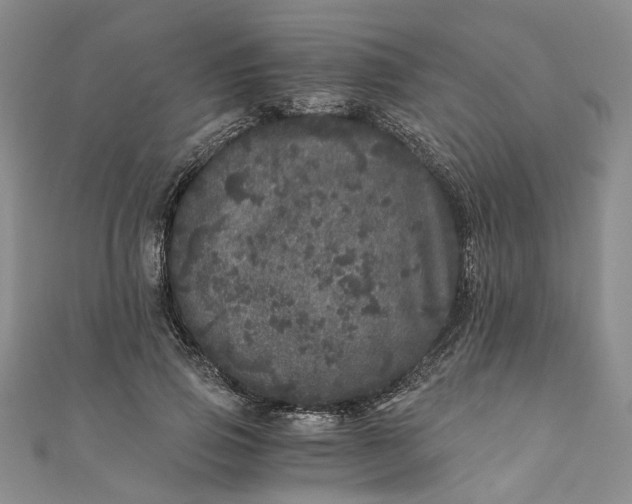 X0000110870741200907021436