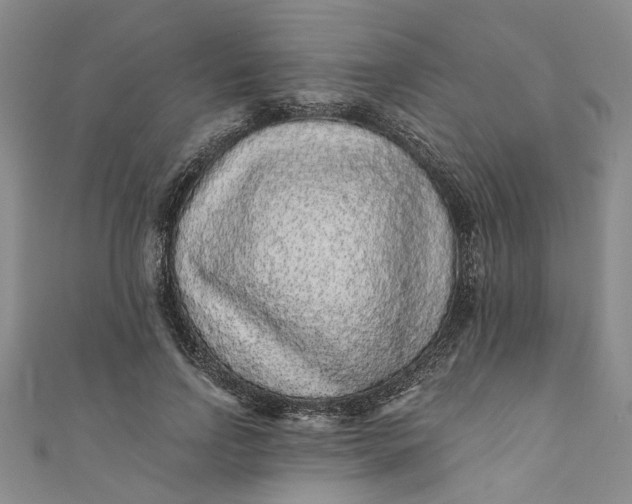 X0000110870742200907021436