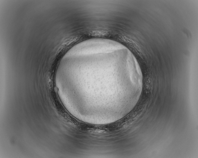 X0000110870743200907021436