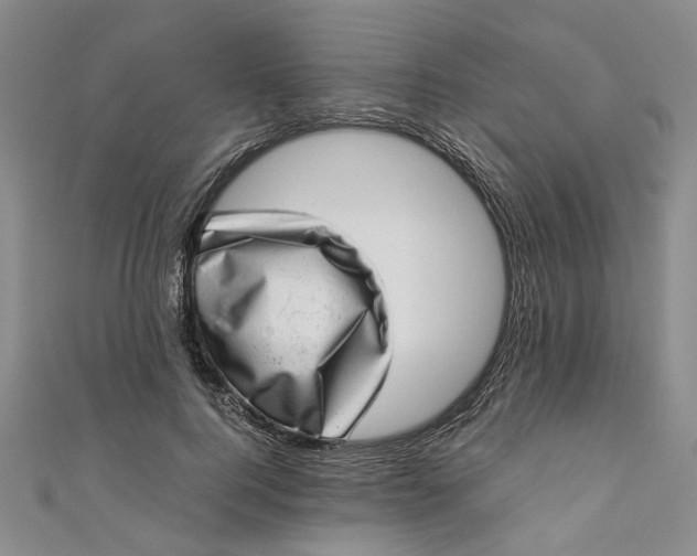 X0000110870744200907021436