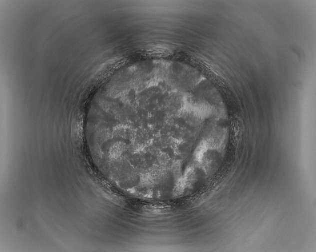 X0000110870745200907021436