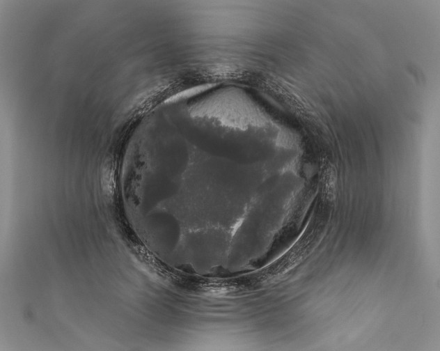 X0000110870746200907021436