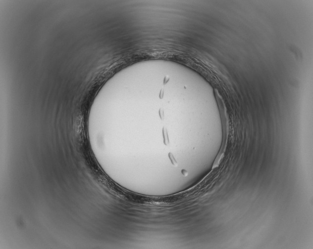 X0000110870748200907021436