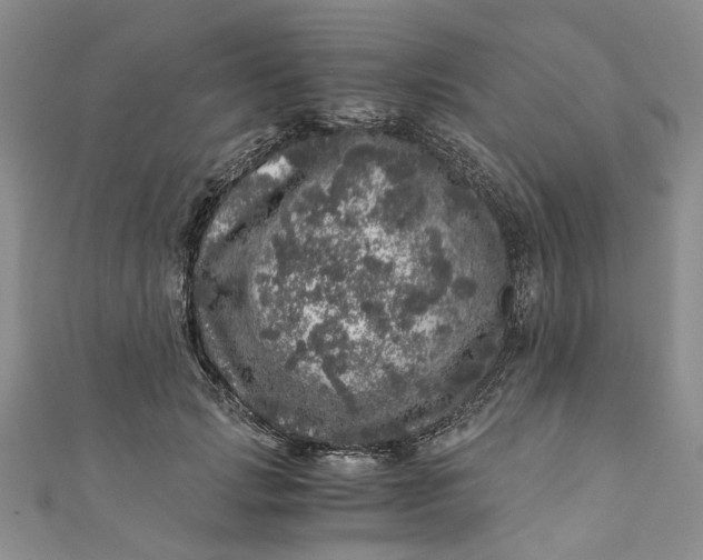 X0000110870749200907021436