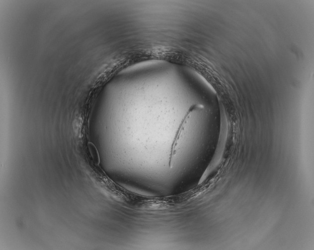 X0000110870750200907021436