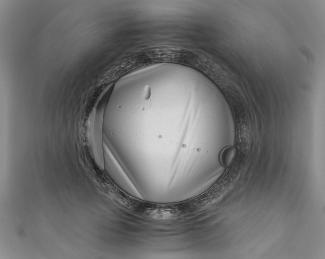 X0000110870751200907021436