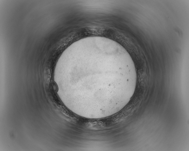 X0000110870752200907021436