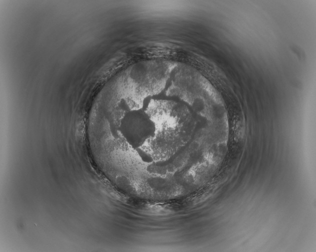 X0000110870753200907021436