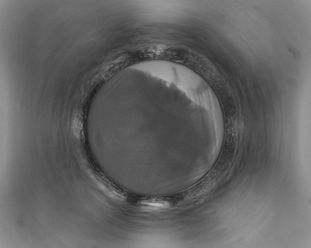 X0000110870754200907021436