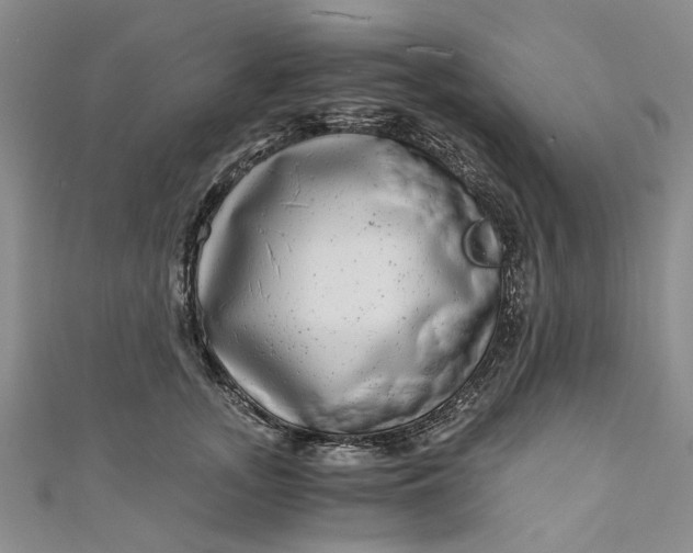 X0000110870755200907021436